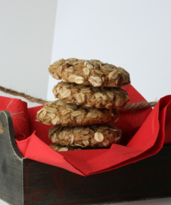 Vegan G/F Oatmeal Chocochips