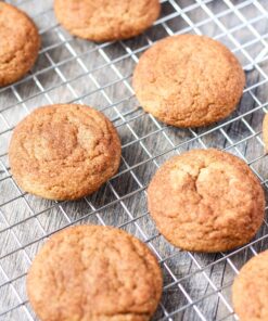 Vegan G/F Snickerdoodle