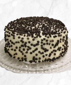 Vegan Vanilla Choco-Chip Cake